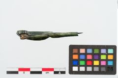 Foto von Bronzesanguisugafibel (NHMW-PRAE-025070)
